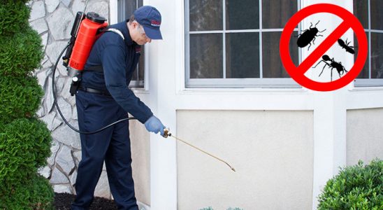 Selçuklu Gümüşkurt İlaçlama böcek ilaçlama ve haşere kontrolü — ilaclama-tr.com